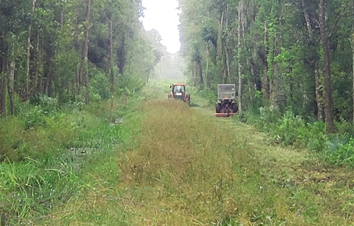 Right of Way Mowing of Dry Terrain