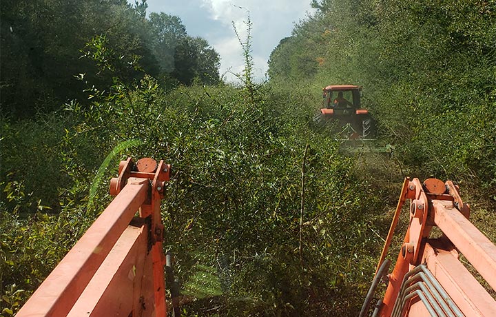 Pipeline Right of Way Maintenance